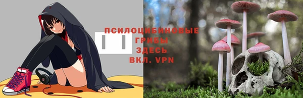 твердый Нязепетровск