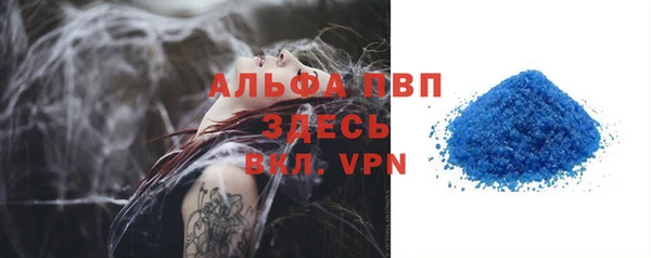 прущие грибы Осташков