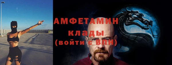 прущие грибы Осташков