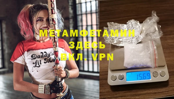 прущие грибы Осташков
