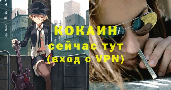 первитин Осинники