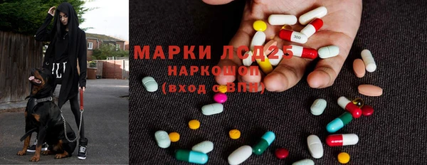 прущие грибы Осташков