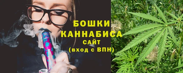 прущие грибы Осташков