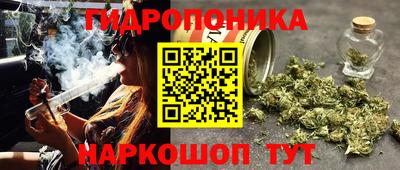 ECSTASY Аргун