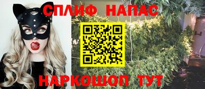 ECSTASY Аргун