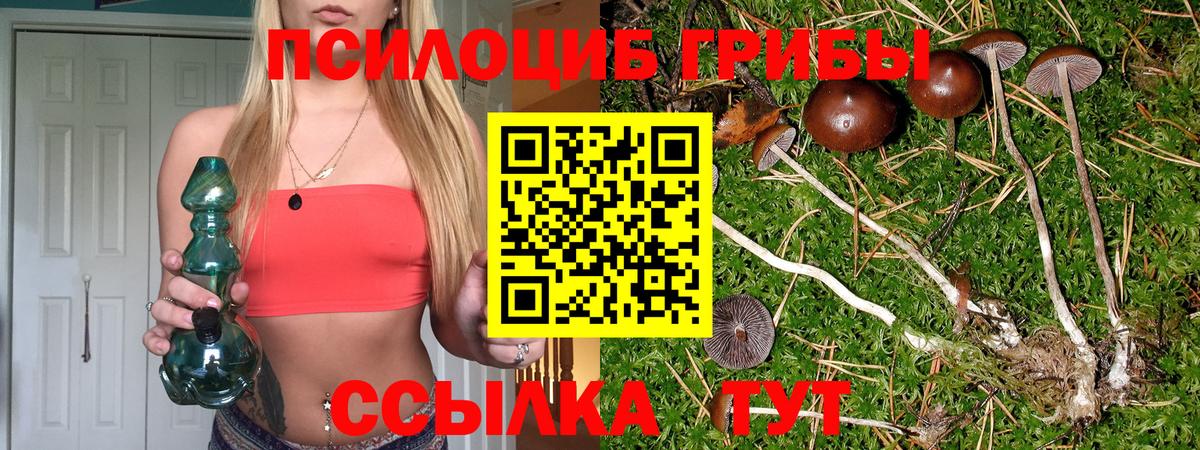 Галлюциногенные грибы Magic Shrooms  Псилоцибиновые грибы Psilocybine cubensis  где продают   Вход с VPN  Большой Камень 