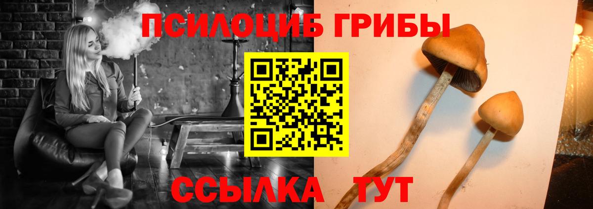 Галлюциногенные грибы Cubensis  Большой Камень 